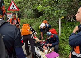 新北市貢寮區福卯古道，登山團突遭蜂群攻擊，其中有4人遭蜂螫送醫。（圖／翻攝畫面）