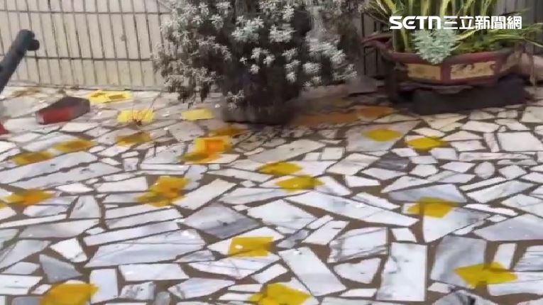 虐貓惹眾怒！飼主住家遭丟雞蛋、撒冥紙