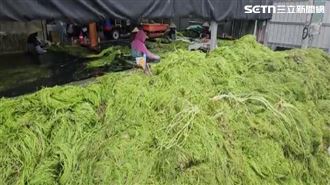 水蓮災損陷政治口水　賴瑞隆：爭取補助