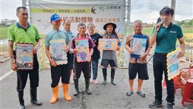契作,稻米,典範