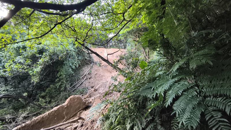 台北已停業的「圓山保齡球館」遭巨石滑落砸穿，後山因溝狀侵蝕，步道下方已懸空，現場畫面曝光。（圖／翻攝畫面）