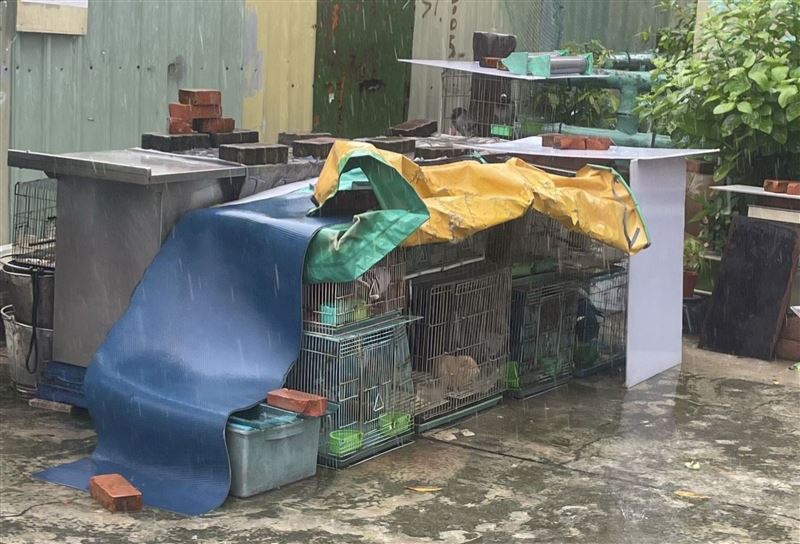 呂姓飼主飼養環境相當惡劣。（圖／動保處提供）