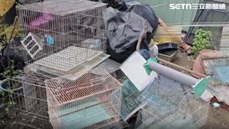 高雄男「虐養」罰不怕　動物慘死淪煉獄