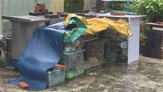 高雄男涉虐動物屢罰不改　動保處放大絕