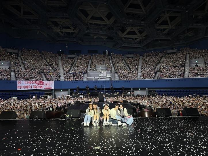 陪伴Apink走過15年粉紅奇蹟 台灣Panda跪求經典神曲。（圖片來源:Apink FB）