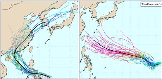 美國系集模式(GEFS)模擬圖顯示，關島東方(右)及菲律賓東方至南海一帶(左)，各有「熱帶擾動」發展的跡象。(圖／擷自weathernerds)