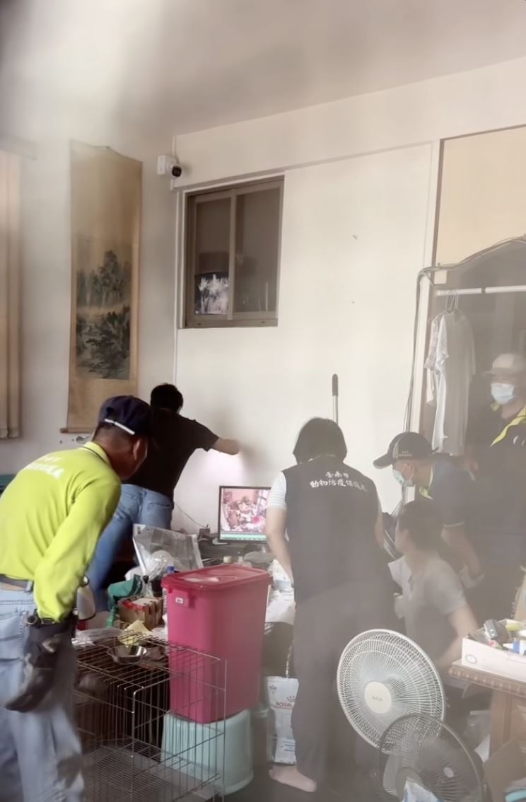 動保處人員、市議員林冠維29日下午進入李男住處，將虎斑貓救出安置。（圖／翻攝林冠維 Lin Kuan-Wei臉書）
