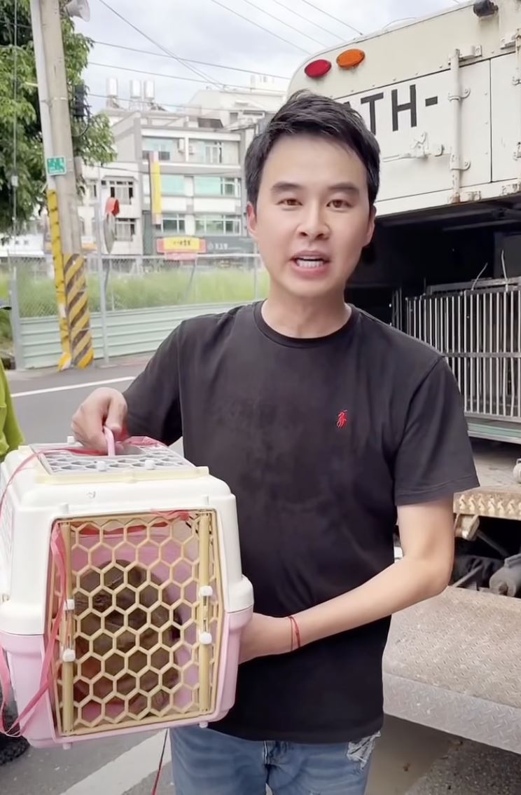 動保處人員、市議員林冠維29日下午進入李男住處，將虎斑貓救出安置。（圖／翻攝林冠維 Lin Kuan-Wei臉書）
