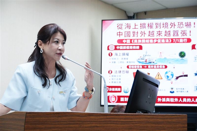 立委林楚茵在立法院外交及國防委員會質詢。(圖/林楚茵辦公室提供)