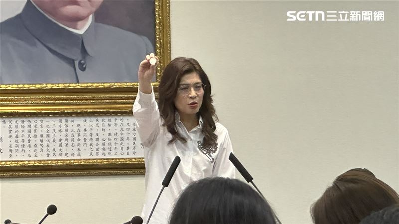 鄭麗文被酸敗票!藍:還好她非輔選大將