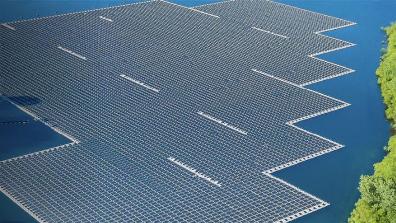 台灣最大漁電共生業者「誠新集團」遭搜索