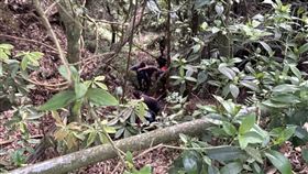 男嘉義深山打獵　意外滑落山谷亡一名男子1日赴嘉義縣梅山太和深山打獵時意外滑落山谷，消防局獲報立刻出動救援，不過失足男子被發現時已身亡，搜救人員合力將遺體抬離事發處。（民眾提供）中央社記者蔡智明傳真　115年7月1日