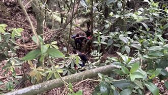 男嘉義深山打獵墜谷　同行友人發現已身亡