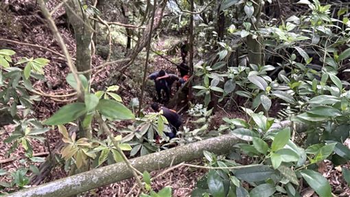 男嘉義深山打獵墜谷　同行友人發現已身亡