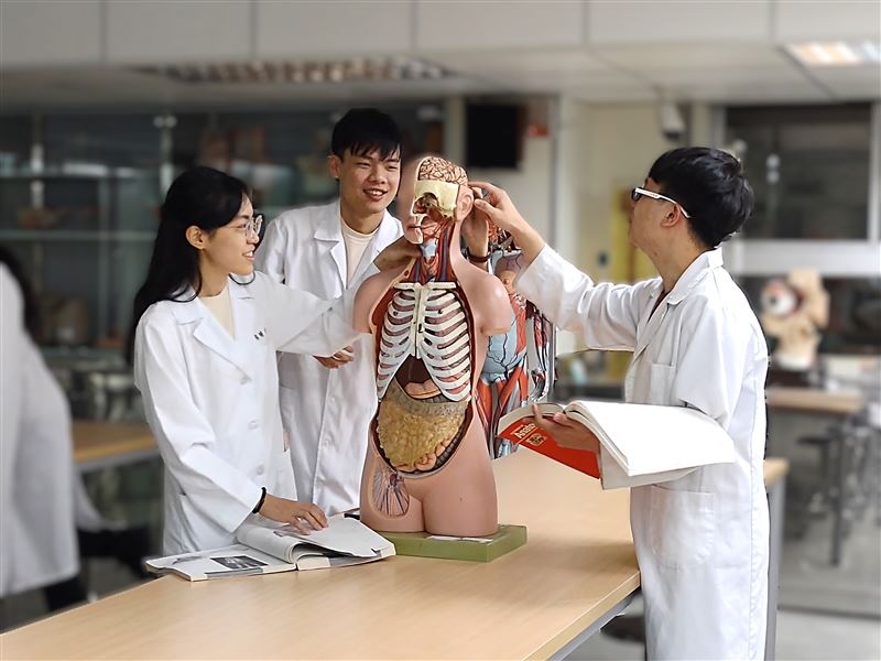 陽明交大公共衛生研究所教授莊宜芳表示,此研究初步證實了腸道菌相與大腦健康的關聯性,至於其中的因果機制與作用,則有待後續追蹤研究釐清。(圖/陽明交通大學提供)