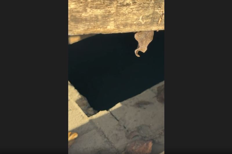 秀珍菇遮陽傘惹議，洪婉臻出示資料質疑蔣萬安。（圖／議員洪婉臻提供）