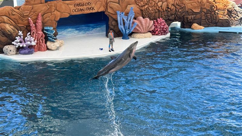花蓮海洋公園海豚秀落幕 轉型生態展演