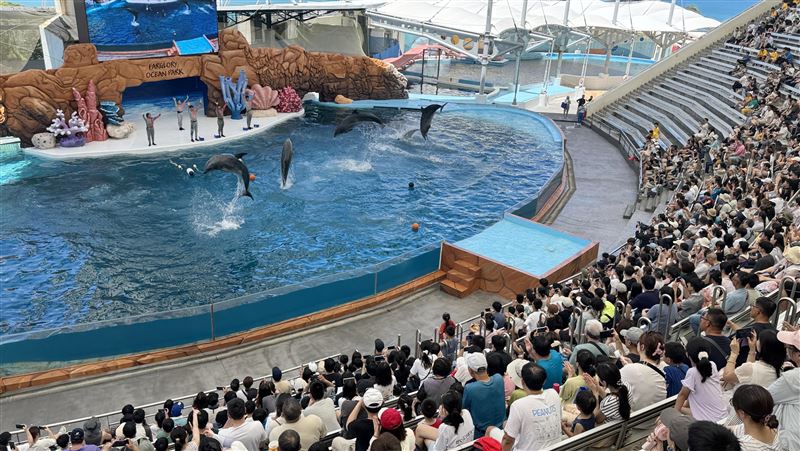 花蓮遠雄海洋公園將把海豚秀，改為教育性質的生態展演。（圖／中央社）