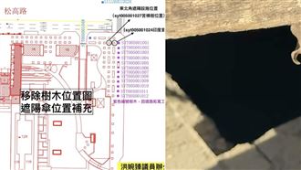 砍樹蓋744萬遮陽傘　他亮證據打臉蔣萬安