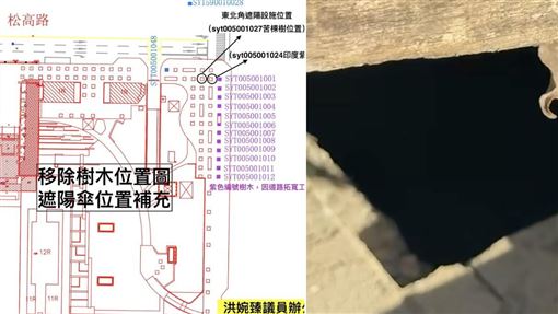 砍樹蓋744萬遮陽傘　他亮證據打臉蔣萬安
