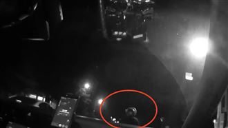 偷「小綿羊」催不快　警跟車無奈喊1句