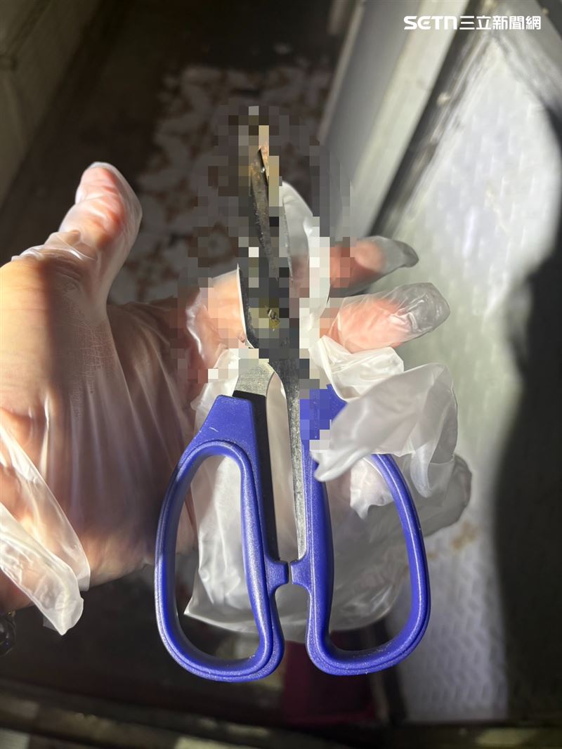 北市劉女持剪刀刺傷林姓前夫遭逮。(圖/翻攝畫面)