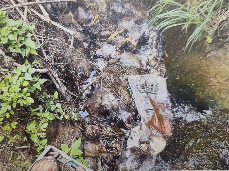 苗栗縣通霄鎮烏眉里山區溪中4月發現大量雞屍,經查為西湖鄉某牧場古姓業者將死亡雞隻打包後,交由另名古姓男子載運丟棄。(苗栗地檢署提供)