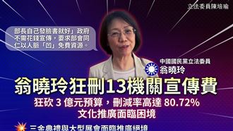 翁曉玲大砍文化部媒宣費　綠委斷言1結果