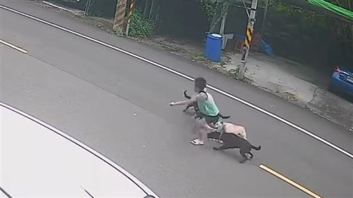 桃園男童遭犬隻撕咬！網友怒了：太扯了吧