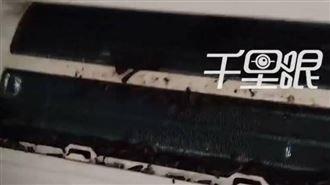 空調竟藏蝙蝠窩！拆機10隻擠成團糞便狂掉