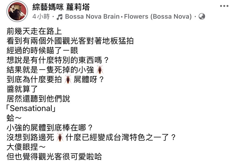 蘿莉塔不理解為何觀光客要拍地板上的蟑螂。(圖/翻攝自臉書)