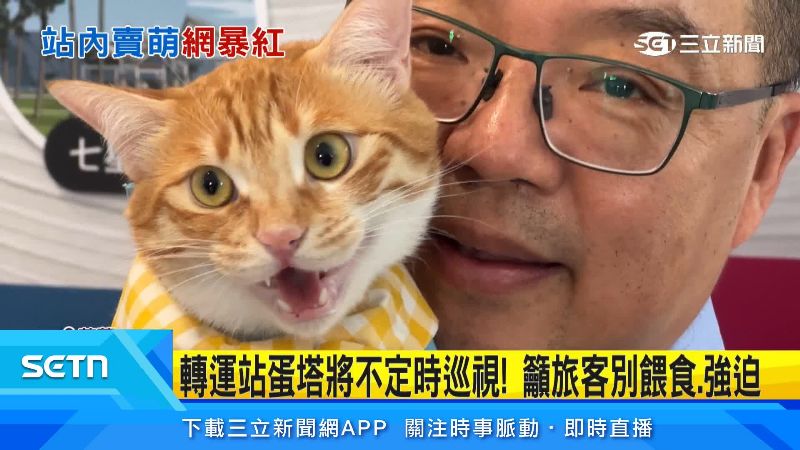 站內人員都很愛護蛋塔