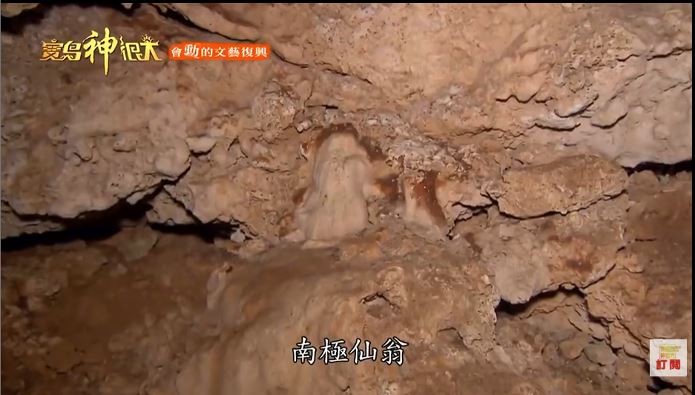 南極仙翁。（圖／寶島神很大）