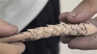 媽氣笑：孩子把鉛筆削成「龍鱗」驚艷全網