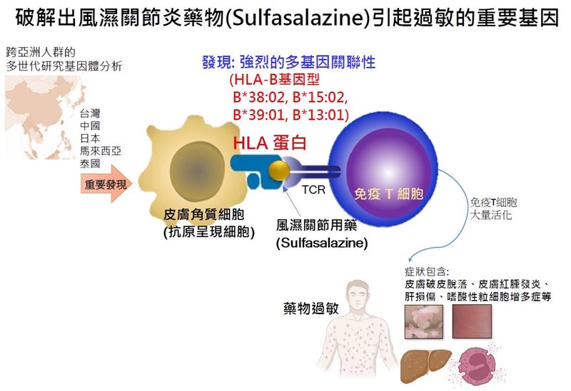 長庚醫院皮膚科團隊破解風濕關節炎藥物引起過敏的重要基因。(圖/長庚醫院提供)