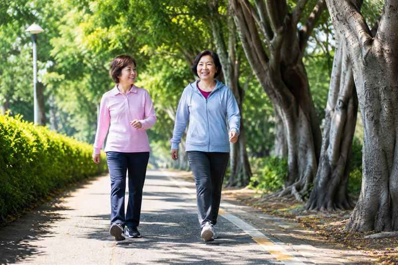 研究發現,規律走路有助維持大腦健康,增加每日步行量、飯後散步10分鐘,不僅可能延緩認知退化,也有助穩定餐後血糖。(示意圖/AI製圖)