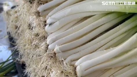 宜蘭三星蔥逼近200元　嘉義鮮蚵急搶收