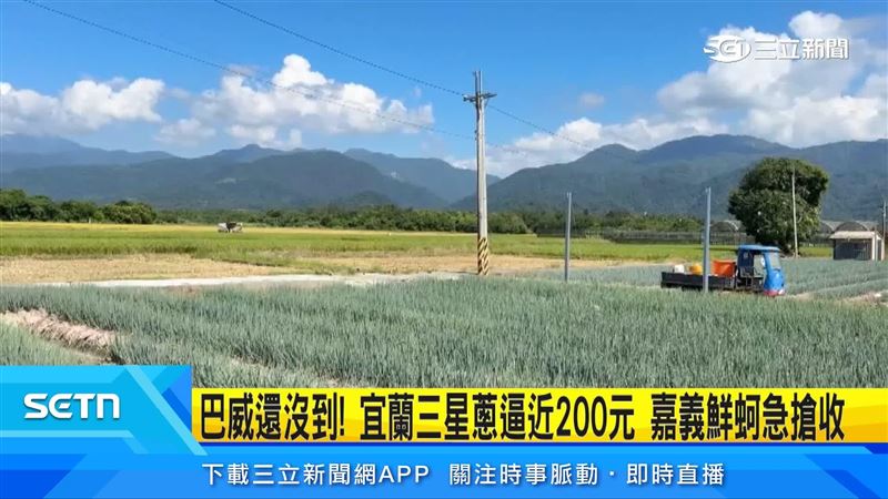 巴威颱風還沒登陸,菜價已先受波動,受到預期心理跟日前豪雨影響,恐怕出現市場搶購潮