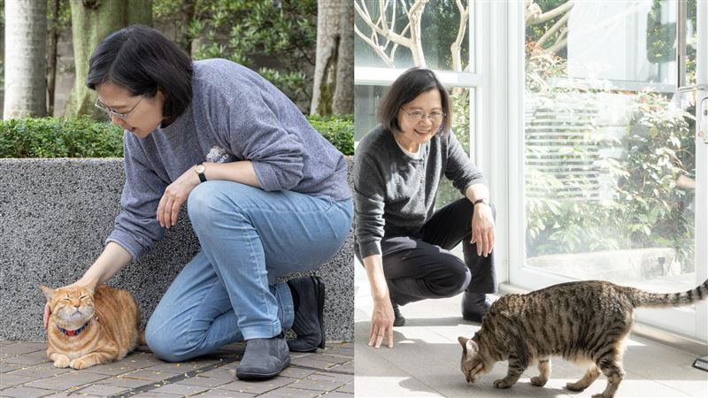 前總統蔡英文卸任後轉型為「貓奴」。(圖/翻攝自Threads @tsai_ingwen)