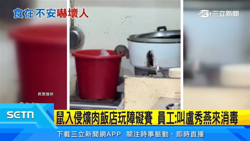台中爌肉飯店,一隻老鼠突然從水桶跳出,工作檯附近狂奔