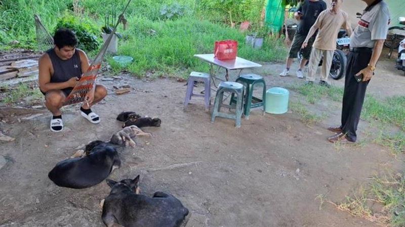 台南移工宿舍爆虐犬！幼犬癱瘓真相大逆轉