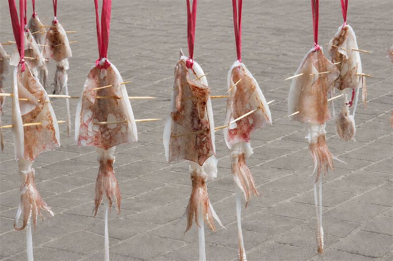 新北深澳小卷季開跑,小卷一夜干體驗活動,推廣食魚教育與在地漁產特色。(圖/新北市漁業處提供)