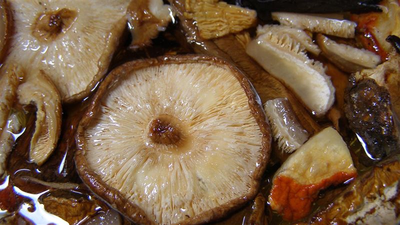 炒香菇加1菜抗氧化升級！護心血管、顧腸