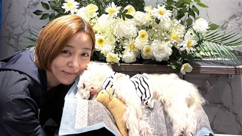 王瞳12歲「兒子」離世 淚喊:去找爸比