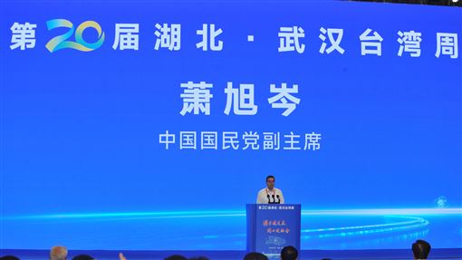 蕭旭岑今（10日）在湖北武漢出席「第二十屆湖北、武漢台灣週」活動（圖／國民黨提供） 