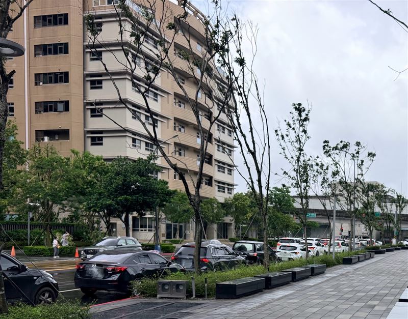 入口處的排隊車輛。（圖／記者蒲世芸攝影）
