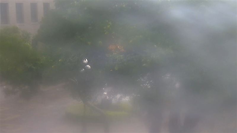 陽明山上已經開始出現風雨。(圖/取自文化大學校園監視器)