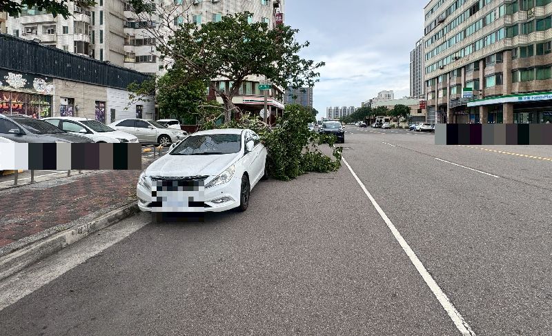 颱風巴威來襲，台中市梧棲區10日有路樹不敵強風，樹枝折斷波及路旁小客車。（民眾提供）