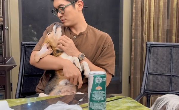 杜江曾救援流浪狗。(圖/翻攝自微博)