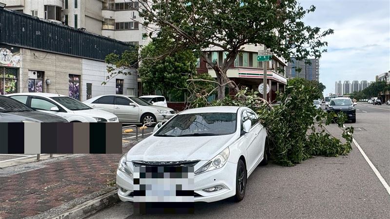 巴威來襲！台中路樹砸車 3人觀浪遭警勸離